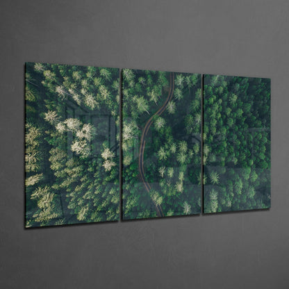 Aerial Forest Winding Road Glass Wall Art