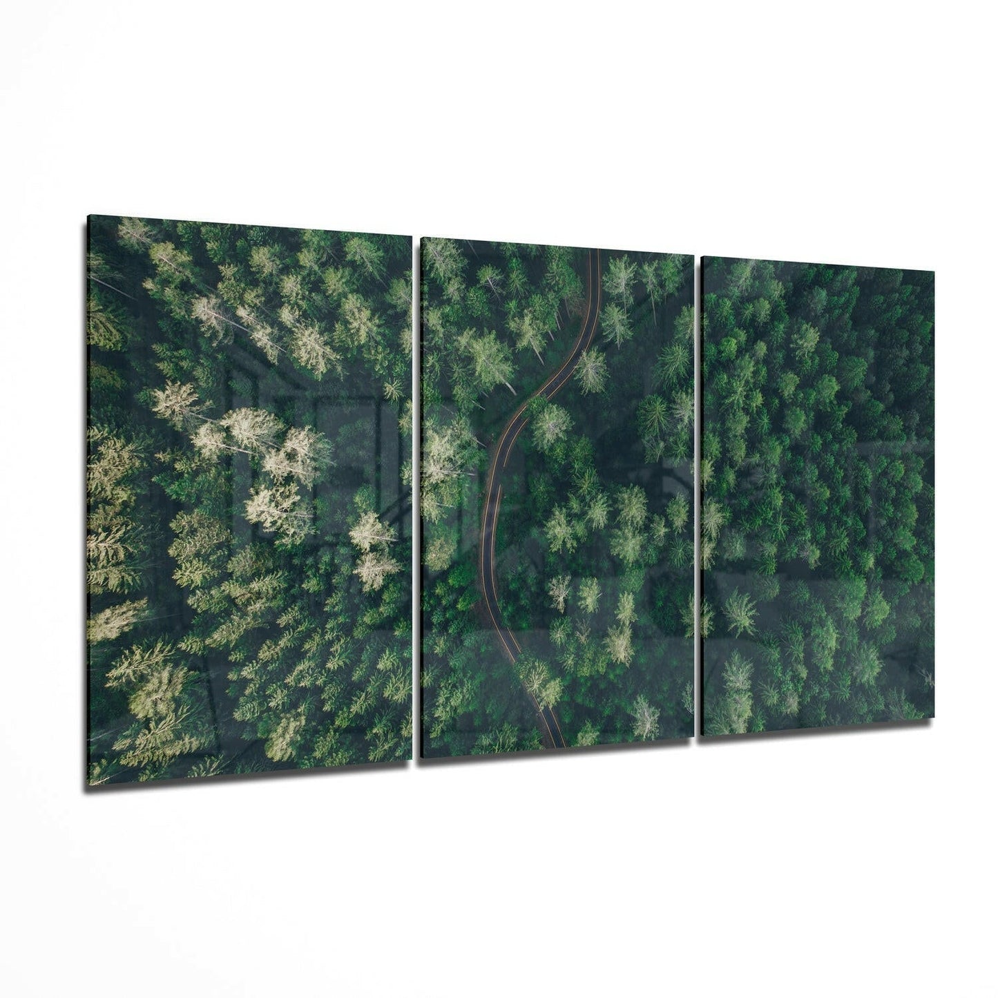Aerial Forest Winding Road Glass Wall Art