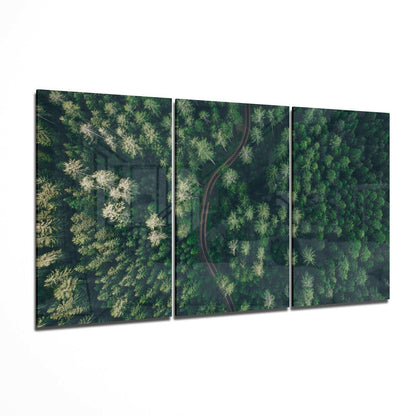 Aerial Forest Winding Road Glass Wall Art