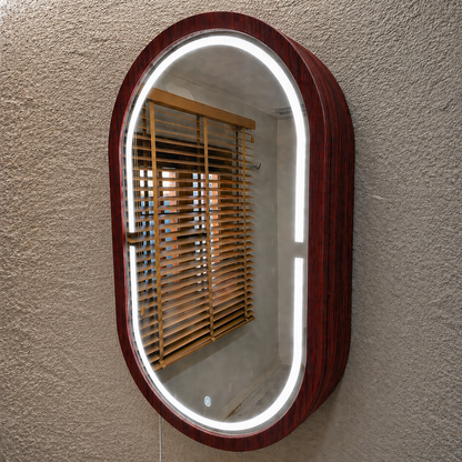 Beech LED Mirror Cabinet USA | Bathroom Medicine Cabinet & Makeup Vanity Storage | Wall Mount Mirror