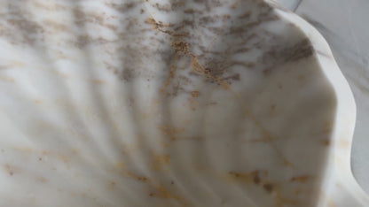 Marble Sink – Luxury Stone Sink Shell Bathroom Basin (45x45x15 cm)