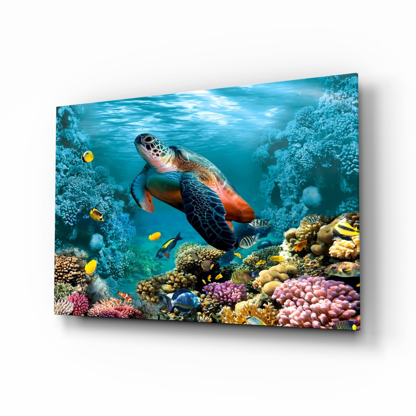 Underworld Glass Wall Art