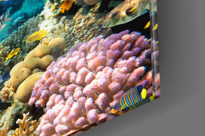 Underworld Glass Wall Art